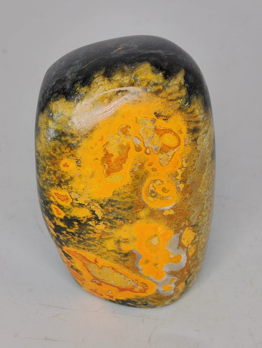 Bumble Bee Jasper Free Forms